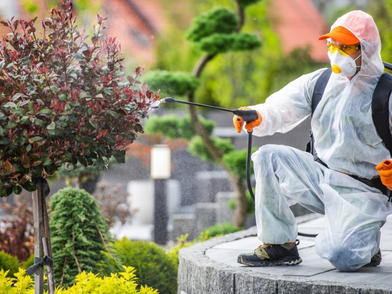 Küçükçekmece Haşere İlaçlama