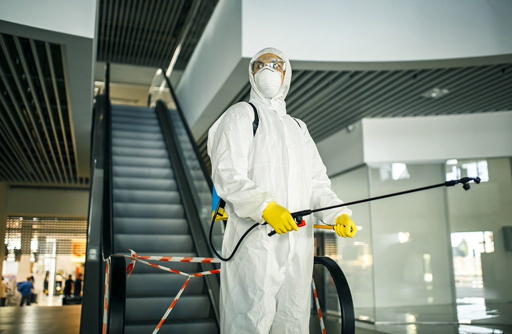 Küçükçekmece Haşere İlaçlama